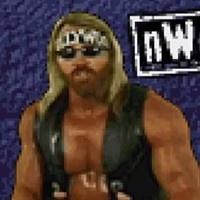 Wcw Nwo Thunder