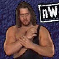 Wcw Nwo Thunder