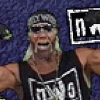 Wcw Nwo Thunder