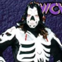 Wcw Nwo Thunder