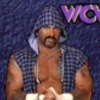 Wcw Nwo Thunder