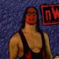 Wcw Nwo Thunder