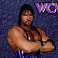 Wcw Nwo Thunder