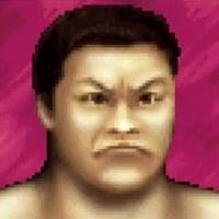 <p>Fujigami</p>