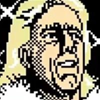 <p>Ric Flair</p>