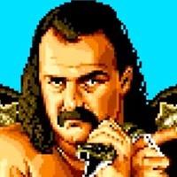 Jake Roberts