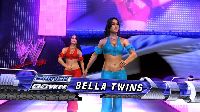 svr 2010 bella twins svr 2010 bella twins