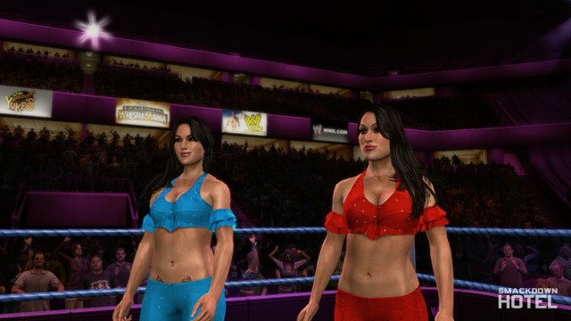 svr 2010 bella twins svr 2010 bella twins