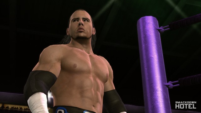 svr 2010 matt hardy svr 2010 matt hardy