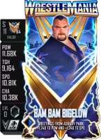 supercard bambambigelow s11 valor
