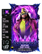 supercard randysavage s12 void