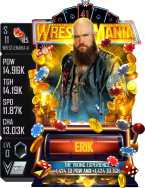 supercard erik s11 wm41