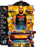 supercard tamatonga s11 wm41