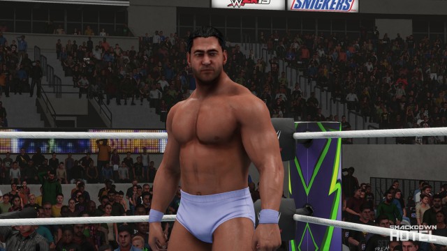 wwe 2k19 rick martel model wwe 2k19 rick martel model
