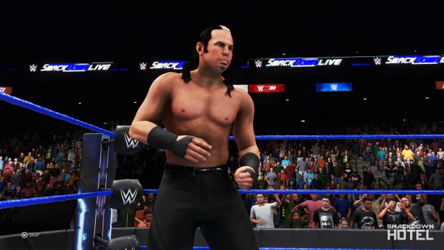 wwe 2k20 matt hardy wwe 2k20 matt hardy