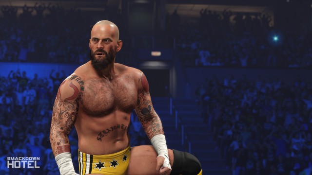 wwe 2k24 cm punk ses wwe 2k24 cm punk ses