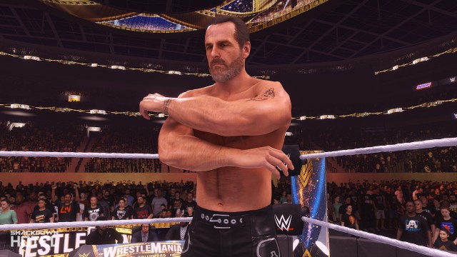 wwe 2k24 shawn michaels wwe 2k24 shawn michaels
