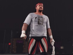 wwek24 terry funk