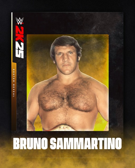 bruno sammartino bruno sammartino