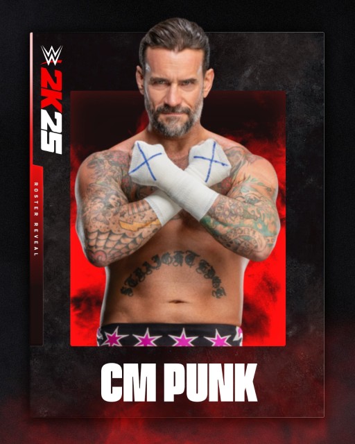 cm punk cm punk