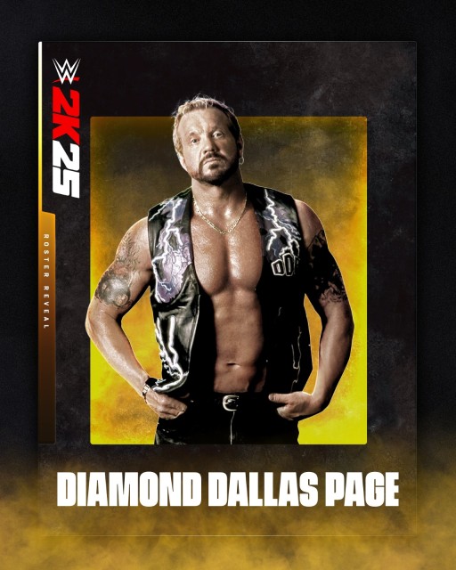 diamond dallas page diamond dallas page