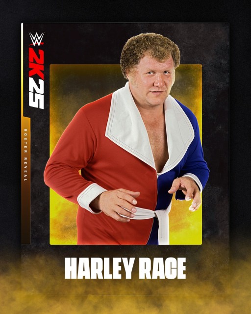 harley race harley race