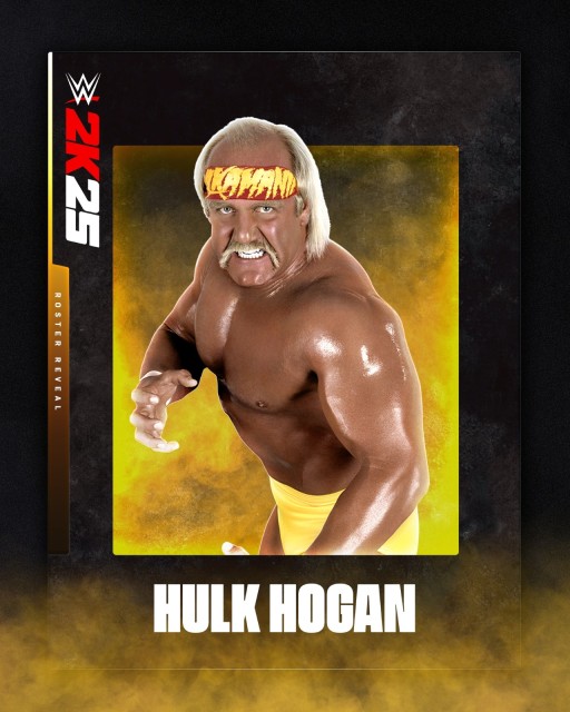 hulk hogan hulk hogan