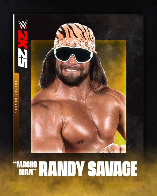 randy savage randy savage