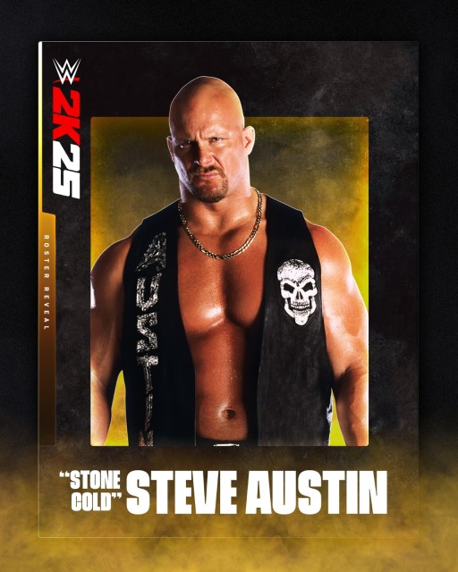 steve austin steve austin