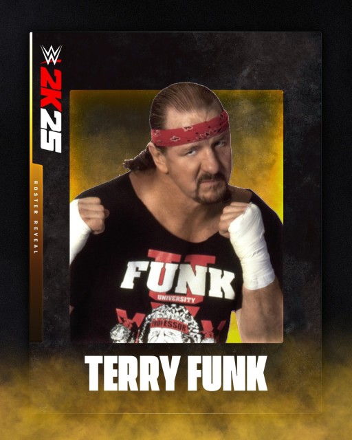 terry funk terry funk