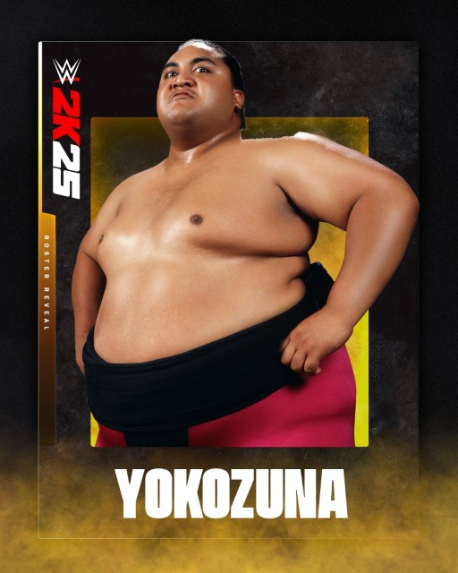 yokozuna yokozuna