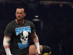 wwe 2k25 cm punk1