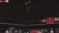 wwek25 dlo brown