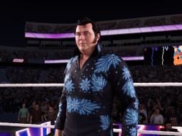 wwek25 honky tonk man