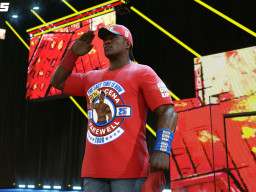 wwek25 ron cena salute