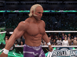 wwe 2k25 superstar billy graham