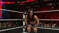 aj lee 15
