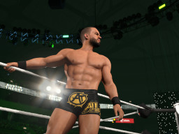 wwe 2k26 austin theory