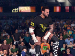 wwek26 cmpunk 11
