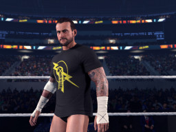 wwe 2k26 cmpunk 11
