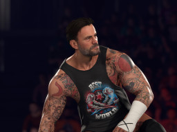 wwe 2k26 cmpunk