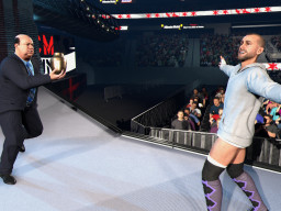 wwek26 cmpunk wm29