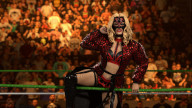 wwe 2k26 flammer
