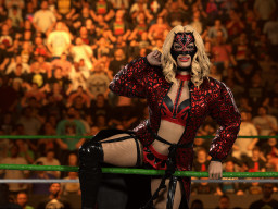 wwe 2k26 flammer