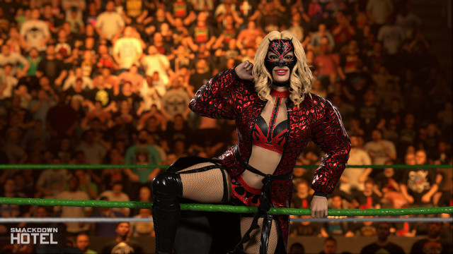 wwe 2k26 flammer