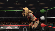 wwe 2k26 flammer