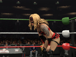 wwe 2k26 flammer
