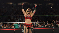wwe 2k26 flammer