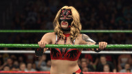 wwe 2k26 flammer