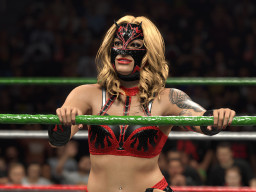 wwe 2k26 flammer